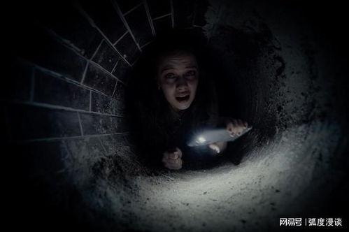 恐怖影视在线观看,恐怖影视在线观看指南  第3张